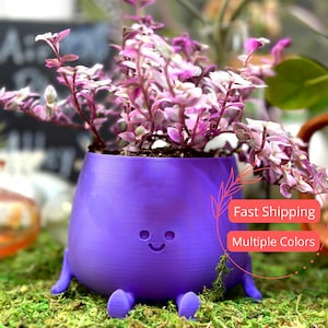 Smiley Face Planter Pot | Plant Pot for Small Houseplants | Cute Funny Planters and Pots | Succulent Planter with Drainage | Succulent Pots