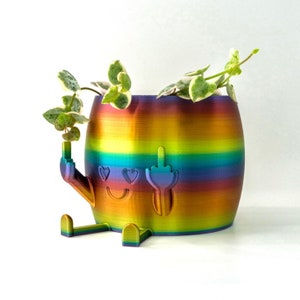 May include: A rainbow-colored ceramic planter with a smiley face, hearts, and a middle finger. The planter is filled with a green succulent plant.