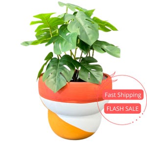 May include: A green leafy plant in a colorful ceramic pot with orange, white, and yellow stripes. The pot has a rounded shape and a wide opening.