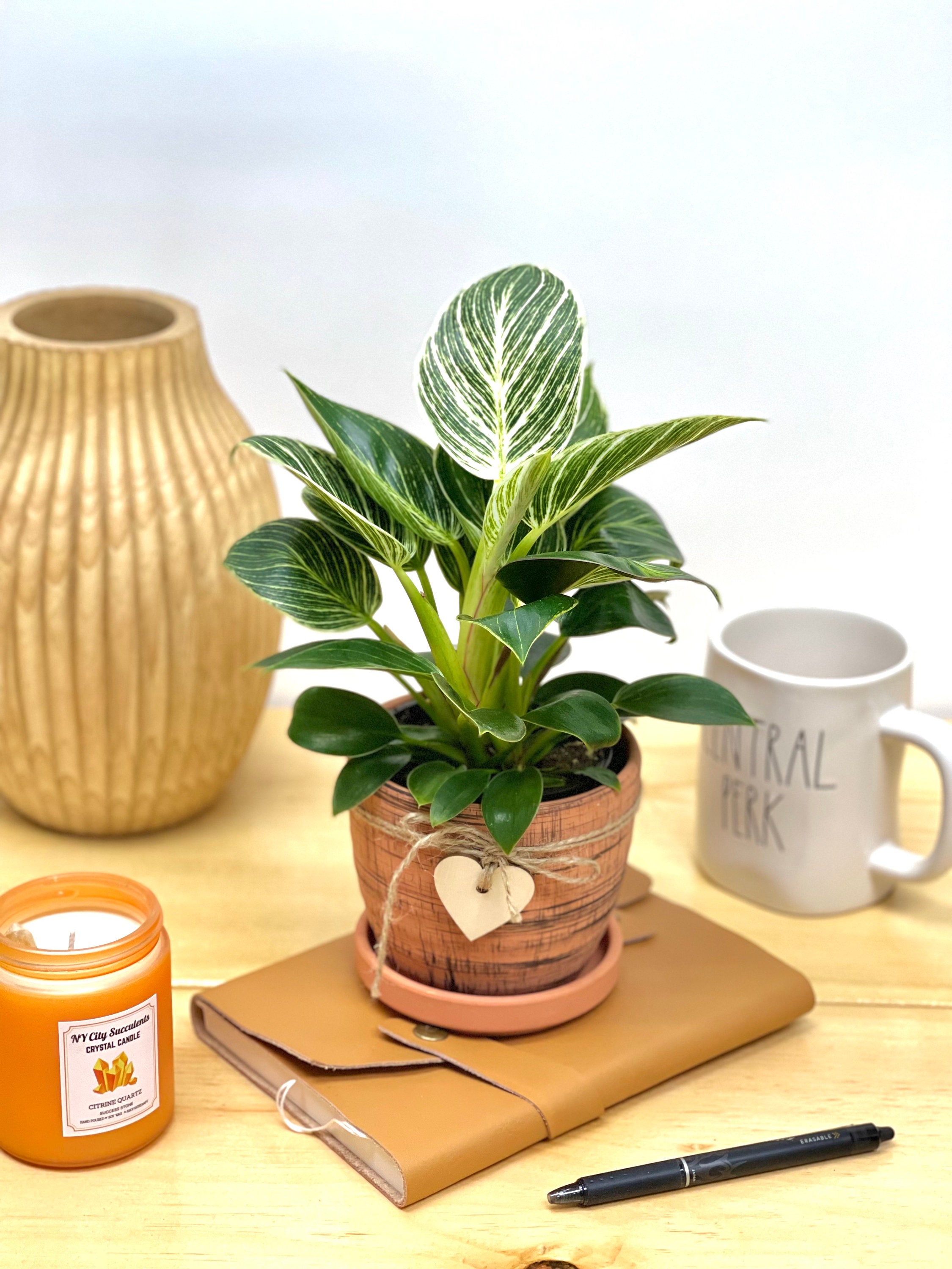 KOYAIRE 3 Motivational Faux Desk Plants for Office - Rose Gold Office Decor  for Women - Small Desk and Home Office Accessories - Desk Decorations for