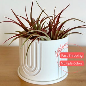 U Patterned Planter with Drainage and Saucer | Plant Pot with Drainage Hole | Planters and Pots | Flower Pot | Pots for Houseplants | 3D