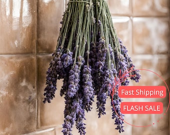 Preserved Lavender Shower Bundle | English Lavender | Dried Lavender Bunch for Home Decor and Bathroom | Aromatherapy Dried Flowers Plants
