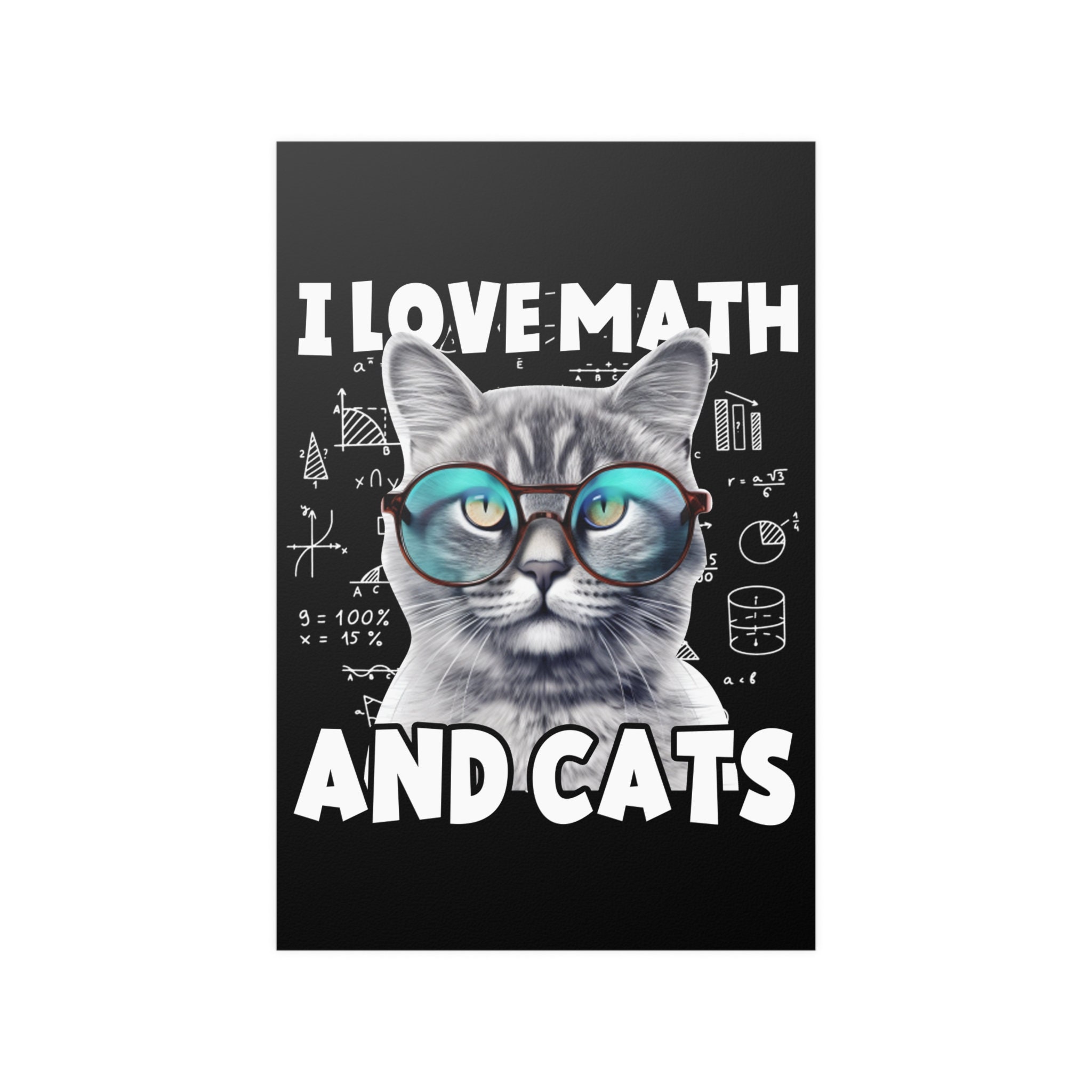 The Astonishing Math Kitten! - c2n3anw