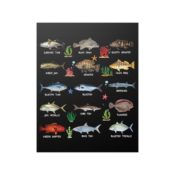 Social Fish Types Different Types Of Saltwater Fish