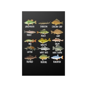 Types Of Fish Wall Poster Types Of Freshwater Fish Species Fishing Wall Art Print Poster Home Decor