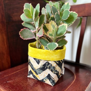 May include: A small green and yellow plant in a yellow and black patterned fabric planter. The planter has a yellow velvet top and a black and gold chevron pattern.