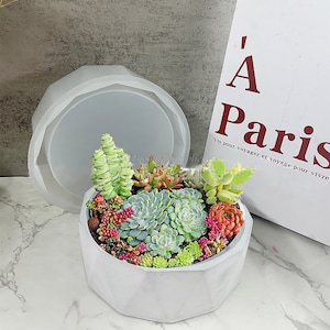 Puede incluir: Una maceta de hormigón blanco con un diseño geométrico, llena de una variedad de suculentas y plantas pequeñas. La maceta está sentada sobre una superficie de mármol. El texto "À Paris" es visible en el fondo.