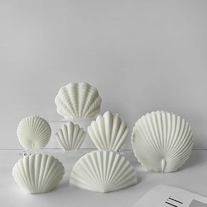 以下が含まれることがあります： さまざまなサイズと形の白いセラミック製の貝殻6個のセット。貝殻は透明なアクリル製の表面に配置されています。