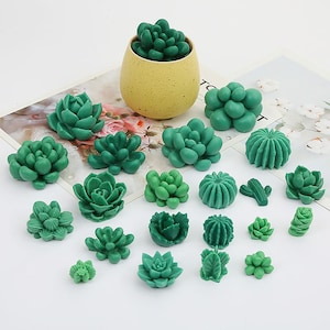 Timisea 6 Pack Succulent Silicone Mold For DIY Cactus Flower Resin Crafts Buy No