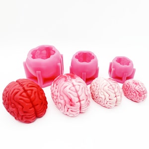 Brain Chocolate Mousse Cake Mold, Human Brain Organ Candle Silicone Mold, Halloween Brain Fun Candy Mold