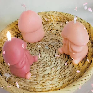 3D Sexy Penis Testis Candle Mold Rogue Genital Chocolate Mold Dick Mold  Soap Mold 