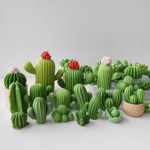 Puede incluir: Una colección de plantas de cactus en miniatura de color verde y rojo en varias formas y tamaños. Algunos de los cactus tienen pequeñas flores rosas o rojas.