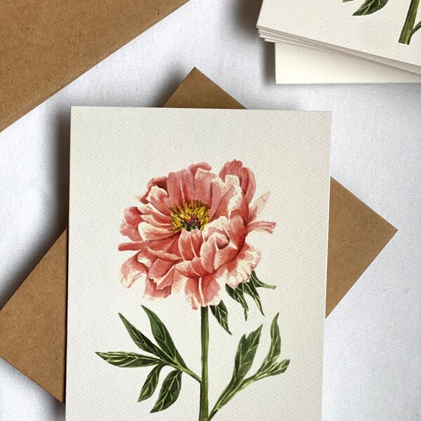 8 Blank Peony Folded Card Set, 4.25” x 5.5” Peony Folded Notecard set of 8 cards and Kraft brown envelopes