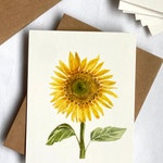 Sunflower Greeting Cards