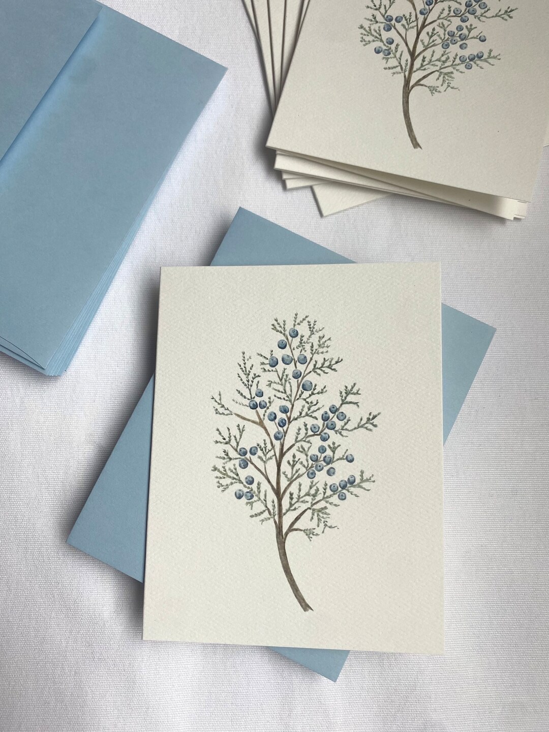 6 Blank Juniper Branch Folded Card Set, 4.25” X 5.5” Blue Juniper Berry ...