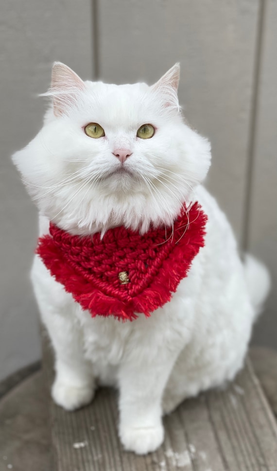 Macrame Pet Bandana with Fringe for Cats and Dogs, Tie on Bohemian Neckwear Accessories, Handmade Stocking Stuffer Pet Scarf Collar Outfit