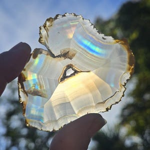 May include: A translucent, iridescent agate slice with a brown outer edge. The agate has a natural hole in the centre and displays a rainbow of colours when held up to the light.