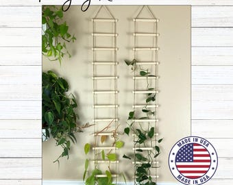 Hanging Wood Trellis for Indoor Plants, Wall Ladder for Climbing Plants, Plant Lover Gift