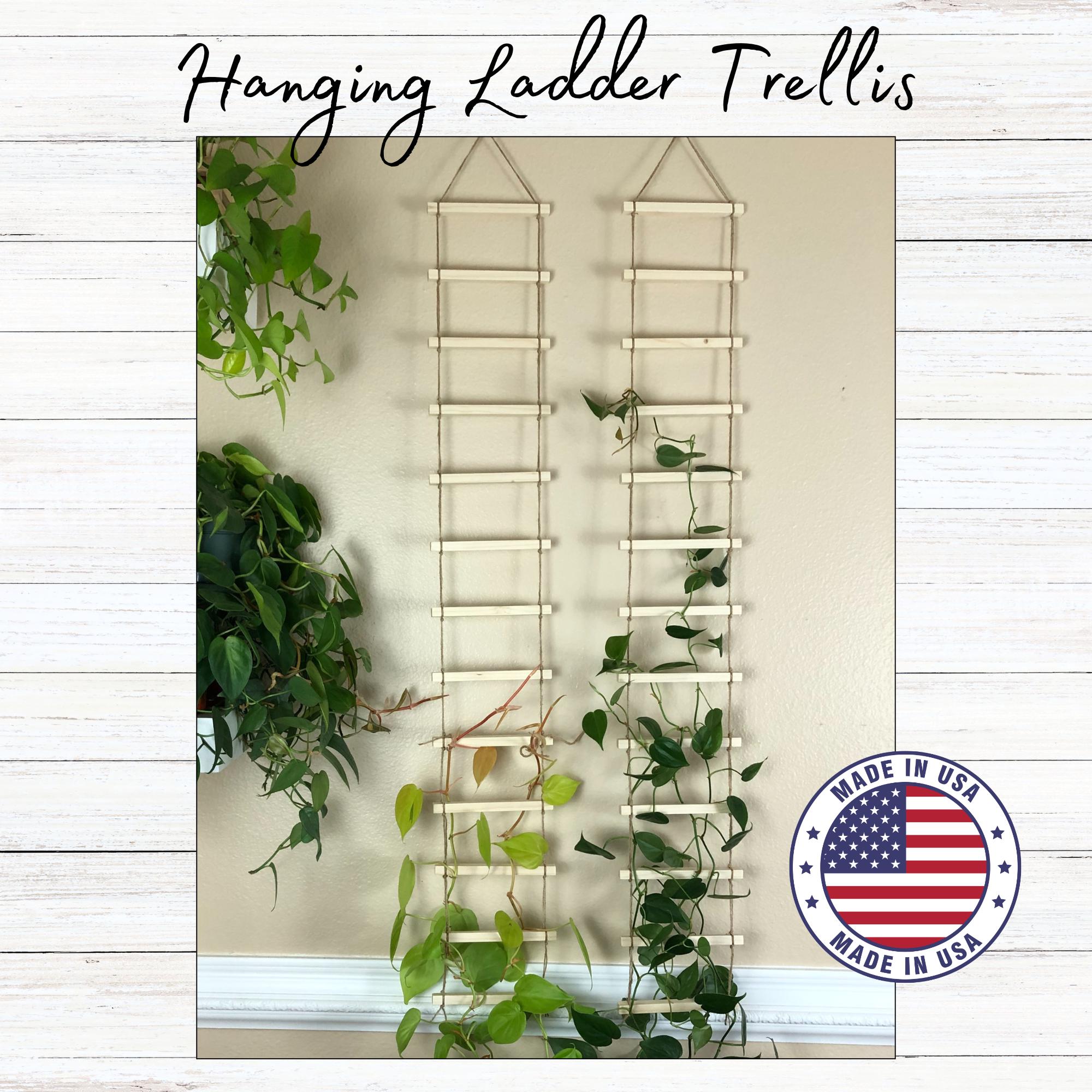 Hanging Wood Trellis for Indoor Plants, Wall Ladder for Climbing Plants,  Plant Lover Gift - Etsy