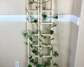 50 -70 Custom Wood Trellis for Indoor Plants, Tall Plant Ladder Custom Size and Color