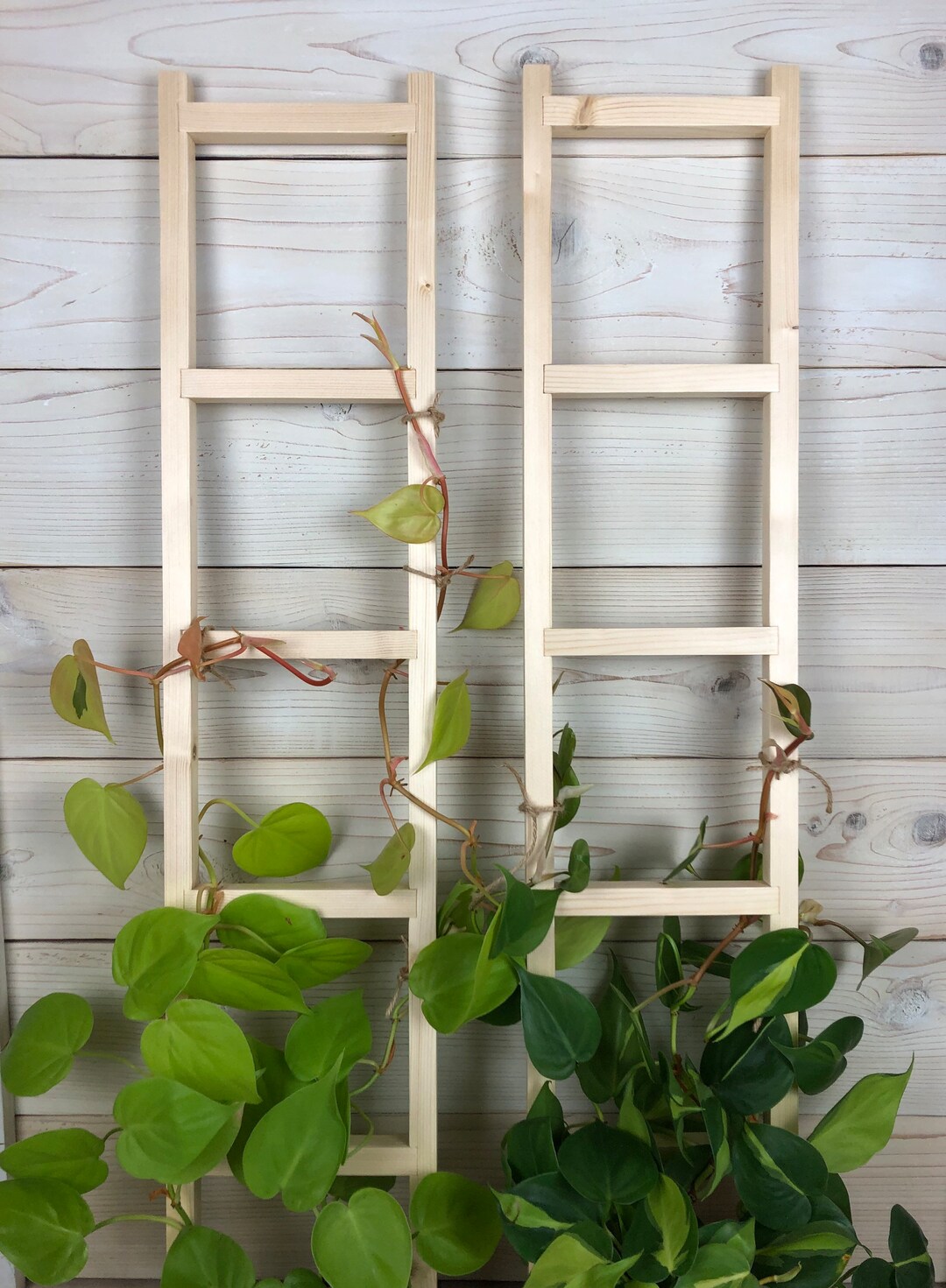 Natural Wood Trellis for Indoor Plants Ladder for Climbing Etsy