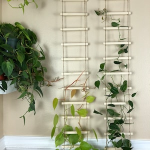 Hanging Wood Trellis for Indoor Plants, Wall Ladder for Climbing Plants, Plant Lover Gift