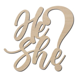 Boy or Girl Gender Reveal Baby Shower, Gender Reveal Party Decor, He orShe Wooden Sign Backdrop, Nursery Sign, etc
