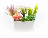 Succulent Planter Ceramic Containers, Cactus Planters, Flower Pots with Drainage Hole and Tray, White Rectangular Planter