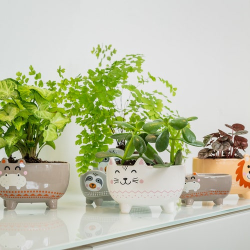2pcs Ceramic Plant Pot Mini Indoor Flower Succulent Cactus Planter Hanging Decor 