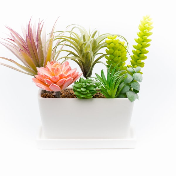 Succulent Planter Ceramic Containers, Cactus Planters, Flower Pots with Drainage Hole and Tray, White Rectangular Planter