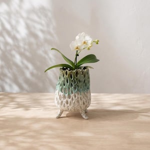 Seafoam Green Ceramic Orchid Planter, 17.5 cm Openwork Design with Raised Feet