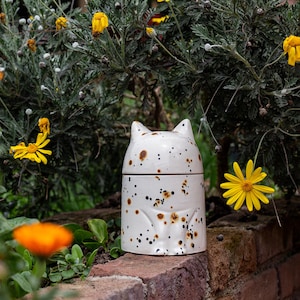 Hand-Crafted Ceramic Cat Urn: Rainbow Bridge Pet Memorial