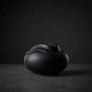 Pode incluir: Um recipiente de cer&acirc;mica preto fosco com tampa. O recipiente tem uma base arredondada e uma tampa com um design &uacute;nico e fluido. A forma geral &eacute; org&acirc;nica e moderna, com uma superf&iacute;cie lisa e n&atilde;o refletora. O fundo &eacute; cinza escuro.