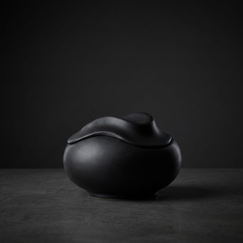 Pode incluir: Um recipiente de cer&acirc;mica preto fosco com tampa. O recipiente tem uma base arredondada e uma tampa com um design &uacute;nico e fluido. A forma geral &eacute; org&acirc;nica e moderna, com uma superf&iacute;cie lisa e n&atilde;o refletora. O fundo &eacute; cinza escuro.