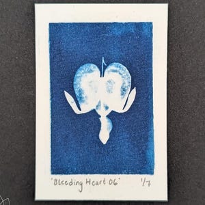 May include: A cyanotype print of a bleeding heart flower on a white rectangular card. The flower is white against a dark blue background. The text "Bleeding Heart 06" and "1/7" are printed at the bottom.