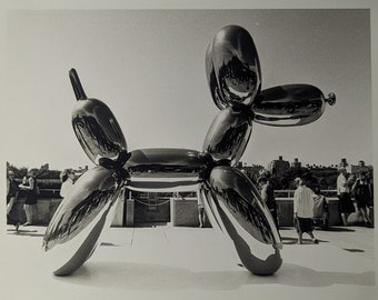 Jeff Koons' Balloon Dog 10"x8" Gelatin Silver Print by Joanne DiDato