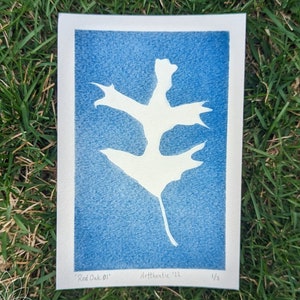 Red Oak 01 Cyanotype Print, 4&quot;x6&quot; - Botanical Prints, UV Print, Sun Print, Blue Print, Nature Lover Gift, Shelf Frame, Wall Frame
