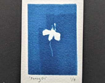 Impression cyanotype Pensée 01, 5 x 3 cm - impressions botaniques, impression UV, impression soleil, impression bleu, cadeau pour amoureux de la nature, art floral, fleurs, cadre d'étagère