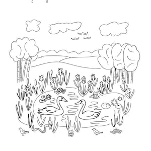 May include: Black and white coloring page featuring a pond with two swans, a turtle, frogs, and a snake. The pond is surrounded by trees, flowers, and reeds. The text "Hello Bluebirds Coloring Pages" is at the top of the page.