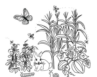 In the Garden Original Coloring Page (PDF Download) by Jacqueline Bance of Hello Bluebirds | Instant Download