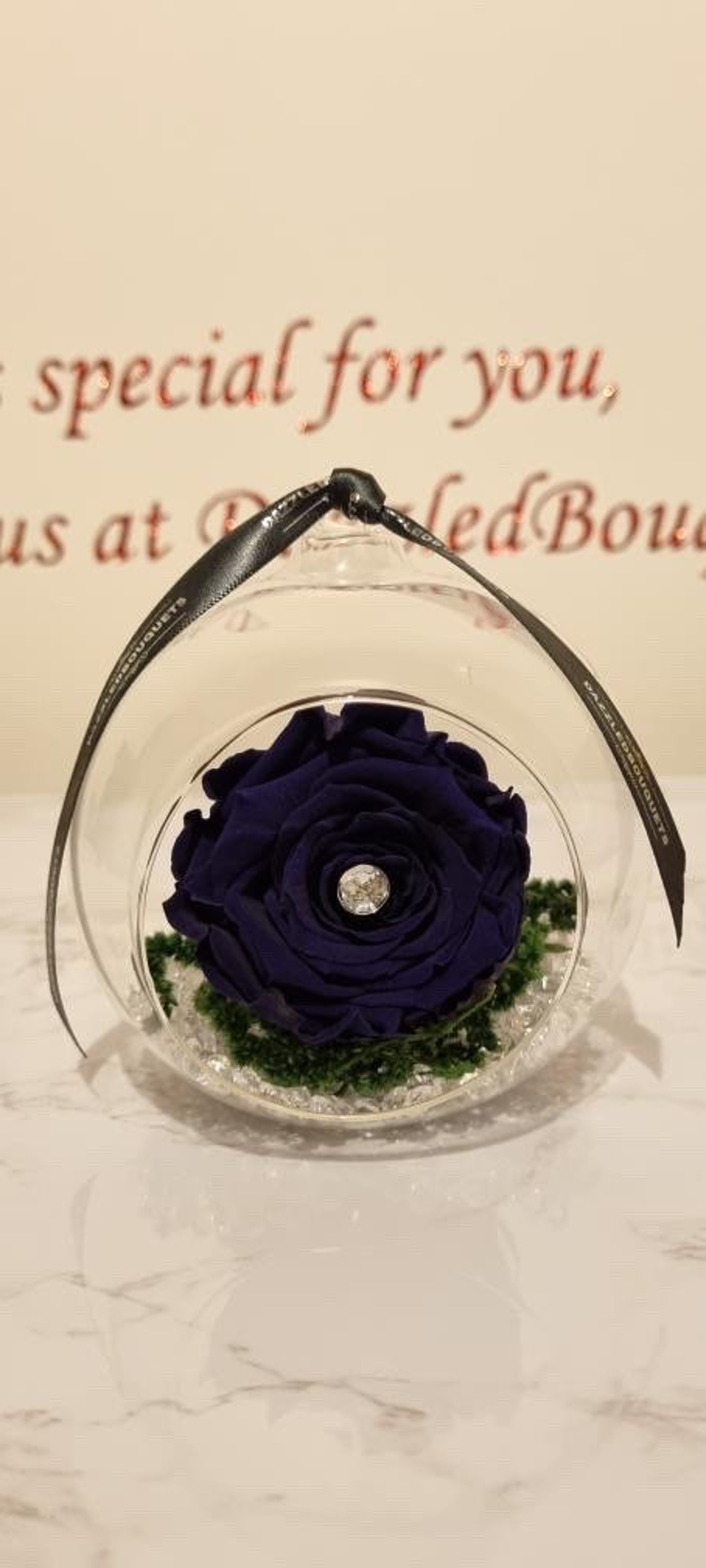 Preserved Rose Globe Etsy