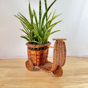Könnte beinhalten: Ein kleiner Korbpflanzer in Form eines Rollers mit einer grünen Schlangenpflanze, die darin wächst.