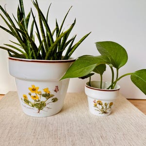 Puede incluir: Dos macetas de cerámica blanca con borde marrón y diseños florales. La maceta más grande contiene una planta de serpiente con hojas largas y verdes. La maceta más pequeña contiene una planta verde con hojas redondas.