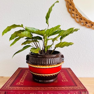 Vintage WGP Planter West German 70s Pottery WGP Collector’s Item Decorative MCM Flower Pot in Red-Brown West German Ceramic Planter