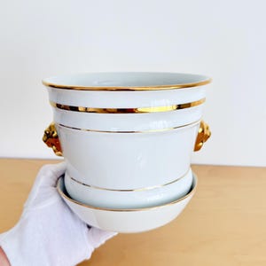 Könnte beinhalten: Weißer Keramik-Blumentopf mit goldenen Zierleisten und Löwenkopfgriffen. Der Topf enthält eine passende Untertasse. Die goldenen Akzente und die Löwenkopfgriffe verleihen diesem Dekorationsstück einen Hauch von Luxus.