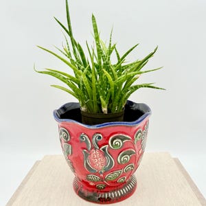 Könnte beinhalten: Ein leuchtend roter Keramikübertopf mit gewelltem Rand und geprägten Blumenmustern in Grün, Schwarz und Weiß. Der Übertopf enthält eine kleine, stachelige grüne Bogenhanfpflanze mit panaschierten Blättern, dunklem Innenraum und ausgestelltem Fuß.