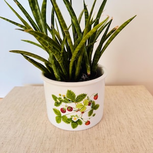 Può includere: Un vaso di ceramica bianco con un disegno di fragole, pieno di foglie verdi di sansevieria. Il vaso presenta un'illustrazione dettagliata di fragole rosse, foglie verdi e fiori bianchi. Il vaso è appoggiato su una superficie beige.