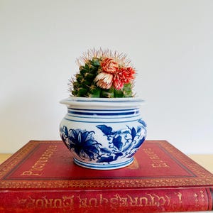 Chinese Planter Blue and White Porcelain Flower Pot Vintage Chinoiserie Cachepot Country Cottage Decor  1970s/80s Floral Porcelain Plant Pot