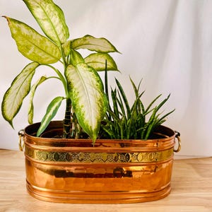Vintage Copper Brass Planter in Country Style | Decorative Long Plant Pot | Retro Copper Flower Pot | Shiny Plant Holder | Cottagecore Bin
