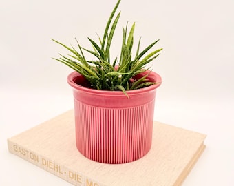 Roze vintage bloempot met ribbelpatroon, retro plantenbak, vrouwelijke plantenbak, Grand Millennial decoratie, retro WGP bloempot